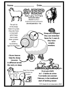 February Animals: Sheep, PreK-3 Science, Math 1-12, | TPT