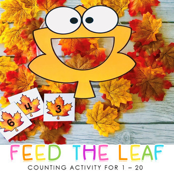 Fall Counting 1 - 20 - Fall Counting Activities - 1:1 One to One  Correspondence