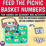 Feed the Picnic Basket Numbers - Preschool SPED Summer Cou