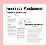 Feedback Mechanism Article