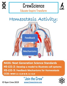 Preview of Feedback Mechanisms Activity with Key Homeostasis NGSS HS-LS1-2&3
