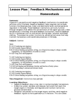 Preview of Feedback Mechanisms and Homeostasis Lesson plan (Editable resource)