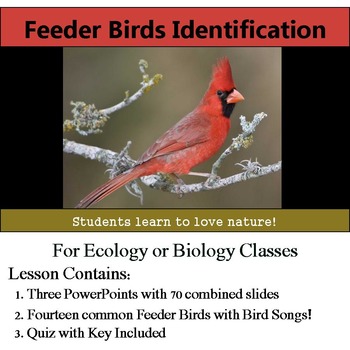 Preview of Feeder Bird Identification - 14 Common Birds - Includes Bird Songs!