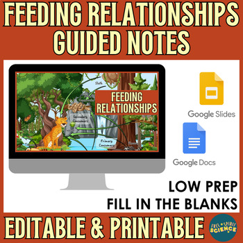 Preview of Feeding Relationships Guided Notes - Food Webs & Food Chains PowerPoint, Notes