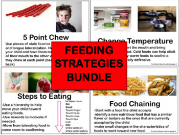 Preview of Feeding Strategies Bundle