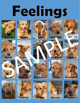 Preview of Feeling Identification Poster & Cards with Dog Expressions