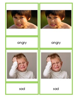 Preview of Feelings 3-Part Vocabulary Cards