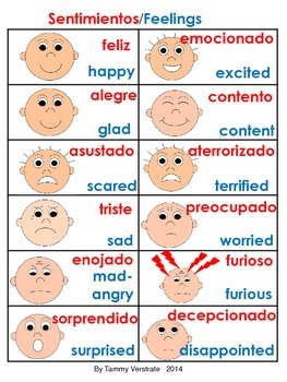 Feelings Bilingual Poster by tammy verstrate | TPT