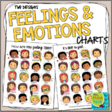 Feelings Chart | Emotions Poster | SEL Reflections | How A