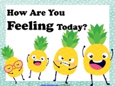 Feelings Check-In Poster Clipchart English Social Emotiona