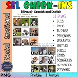 Bilingual Check Ins | On an Animal Scale, How do you feel 