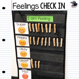 Feelings Check in Chart (editable!)