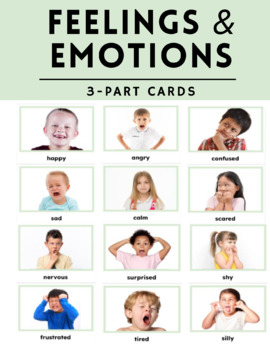 Preview of Feelings & Emotions: 3-Part Cards