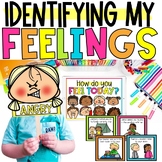 Feelings & Emotions Identification, Counseling & SEL Class