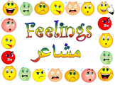 Feelings Flashcards: Arabic and English