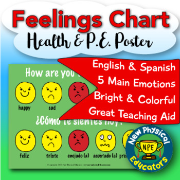 Preview of Feelings "Touchable" Assessment Health and Physical Education Poster