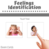 Feelings Identification: Field of 2 BOOM CARDS