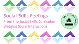 Social Skills- Feelings- Individual Feelings Cards with De