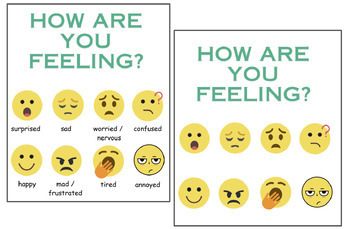 Feelings Poster/ SEL/ Social emotional learning by The Sunny School
