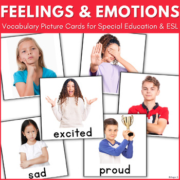Preview of Identifying Feelings and Emotions Flashcards Social Skills Autism Special Ed