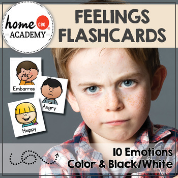 Preview of Feelings and Emotions Flashcards