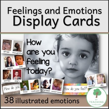 Preview of Feelings and Emotions Photo Cards - Social and Emotional Learning Display