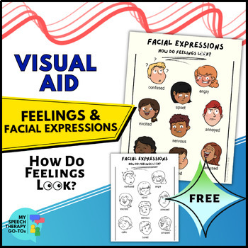 Preview of Feelings and Emotions VISUAL AID Facial Expressions Nonverbal Communication Cues