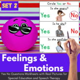 Feelings and Emotions Yes No Questions Worksheets for Spec