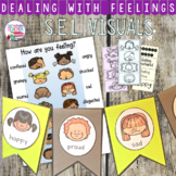 Identifying Feelings and Emotions: visuals, printables