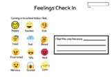 Feelings check in, check out, and mini check ins