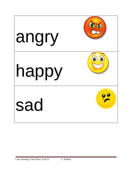 Preview of Feelings/Emotions Picture Vocabulary Cards