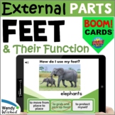 Feet Structures and Functions | Animal Body Parts Boom Cards
