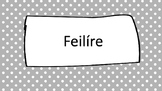 Feilíre- Irish Calendar