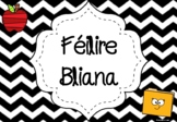 Féilire na Bliana - Black and White Calendar GAEILGE