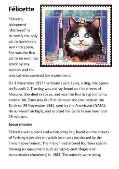 Félicette (The First Cat in Space) Handout by Steven's Social Studies