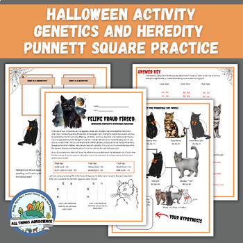 Preview of Practicing with Punnett Squares Worksheets, Cat Genetics and Heredity Activities