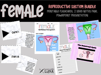 Preview of Female Reproductive System Resource Kit