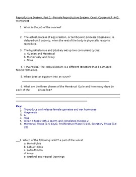 Preview of Female Reproductive System Crash Course Video Worksheet KEY