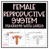 Female Reproductive System Diagrams