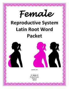 Preview of Female Reproductive System Latin Root Word Packet