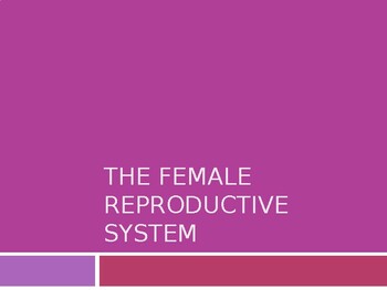 Female Reproductive System PowerPoint By Health And Physical Education ...