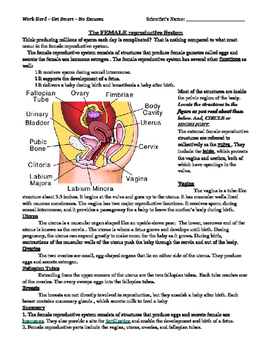 Preview of Female Reproductive System Reading Comprehension