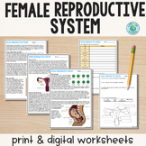Female Reproductive System - Reading Comprehension Worksheets