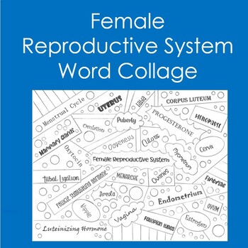 Preview of Female Reproductive System Word Collage (Coloring, Anatomy, Health)