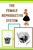 Female Reproductive System in Humans (BUNDLE)
