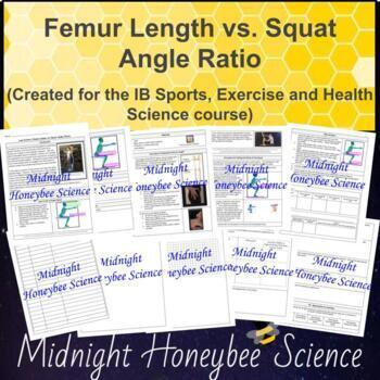 Preview of Femur Length vs. Squat Angle Ratio (For IB Sports, Exercise and Health Science)