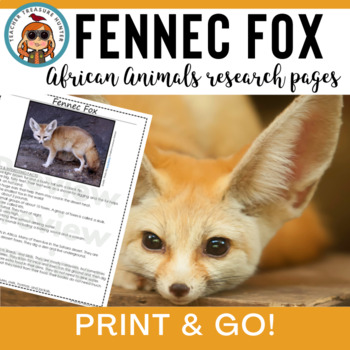 fennec fox pet price