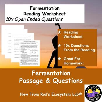 Preview of Fermentation Reading Worksheet **Editable**