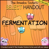 Fermentation Worksheets