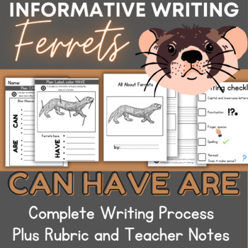 Preview of Ferret Writing and Labeling HAVE CAN ARE- Informative Anchor Chart